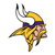Minnesota Vikings